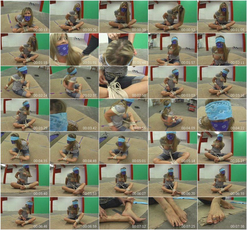 0820BD.wmv