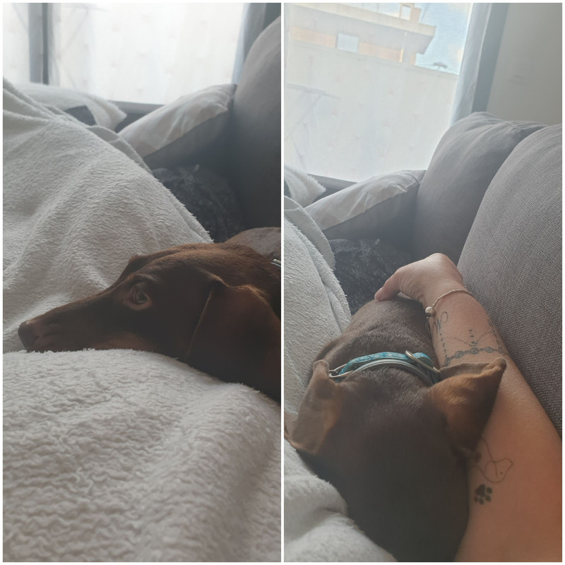 [Image: 20201018-173442.jpg]