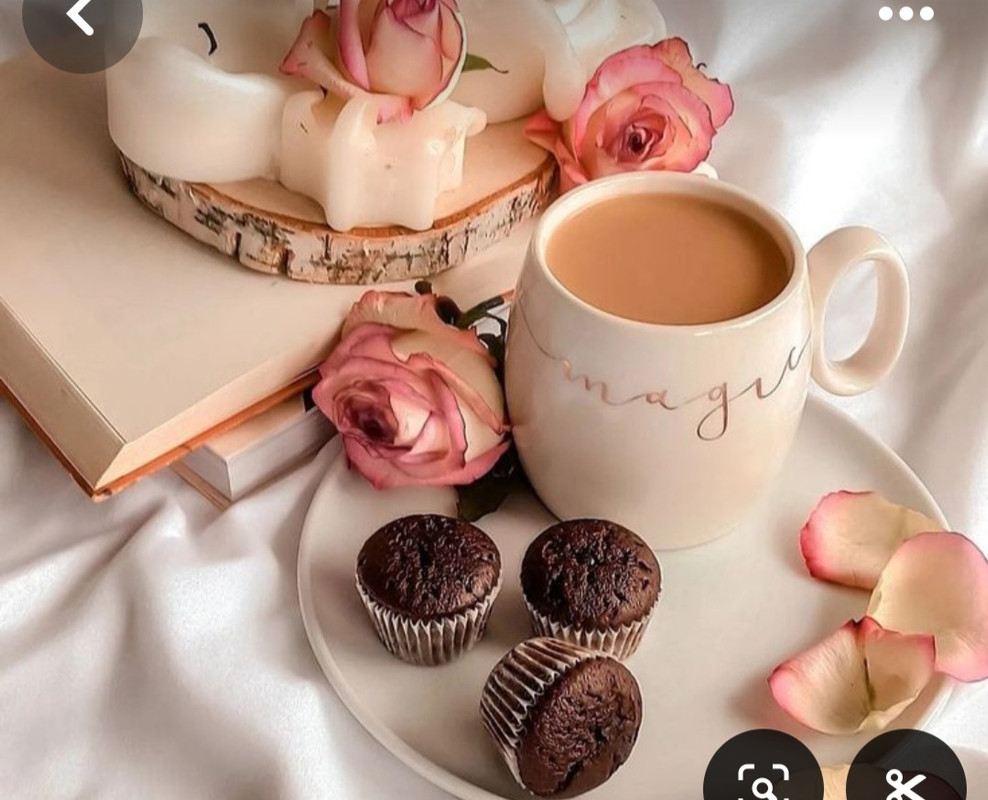 Screenshot_20240629_000319_Pinterest