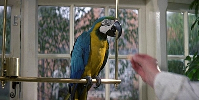 PARROT-LIVING-DAYLIGHTS-2-A-FOTOR.jpg