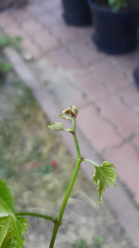 447658027_355846423826024_2764371662723909459_n