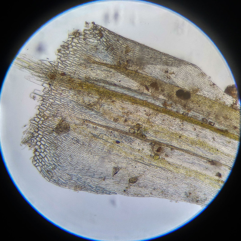 IMG 20250614 122434 HDR