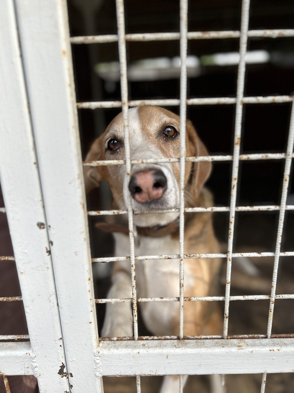 0AA476F1-FF6F-48B1-9925-6D883A5876CB