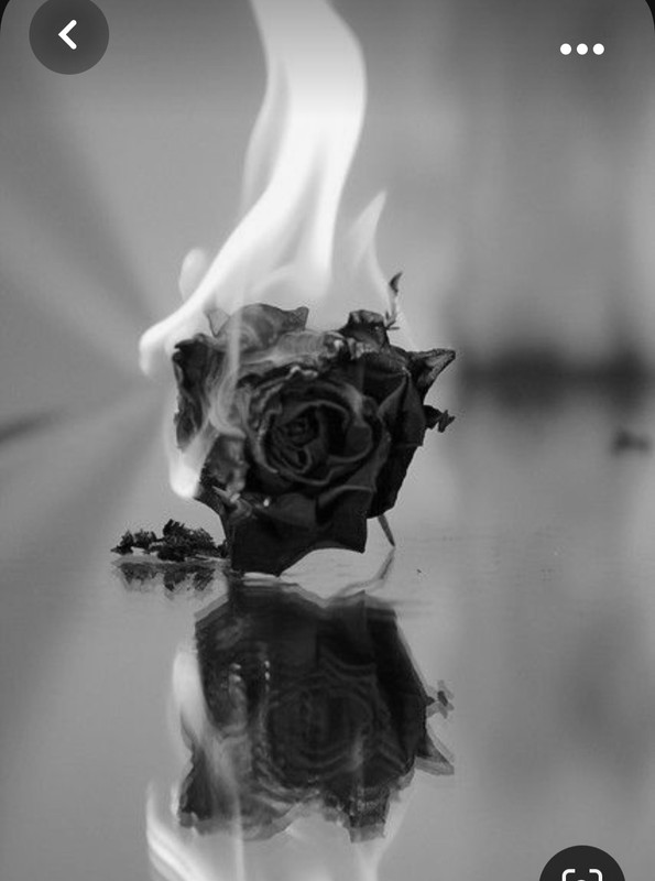 Screenshot_20231030_212735_Pinterest