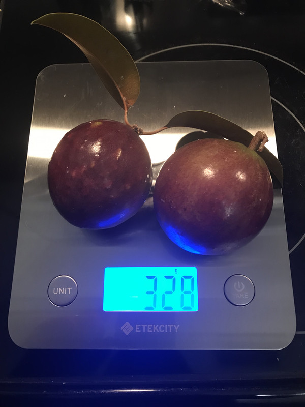 purplecaimitoB3292019