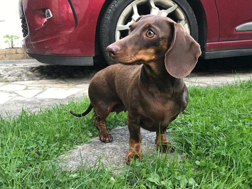 [Image: IMG-20241005-WA0011.jpg]