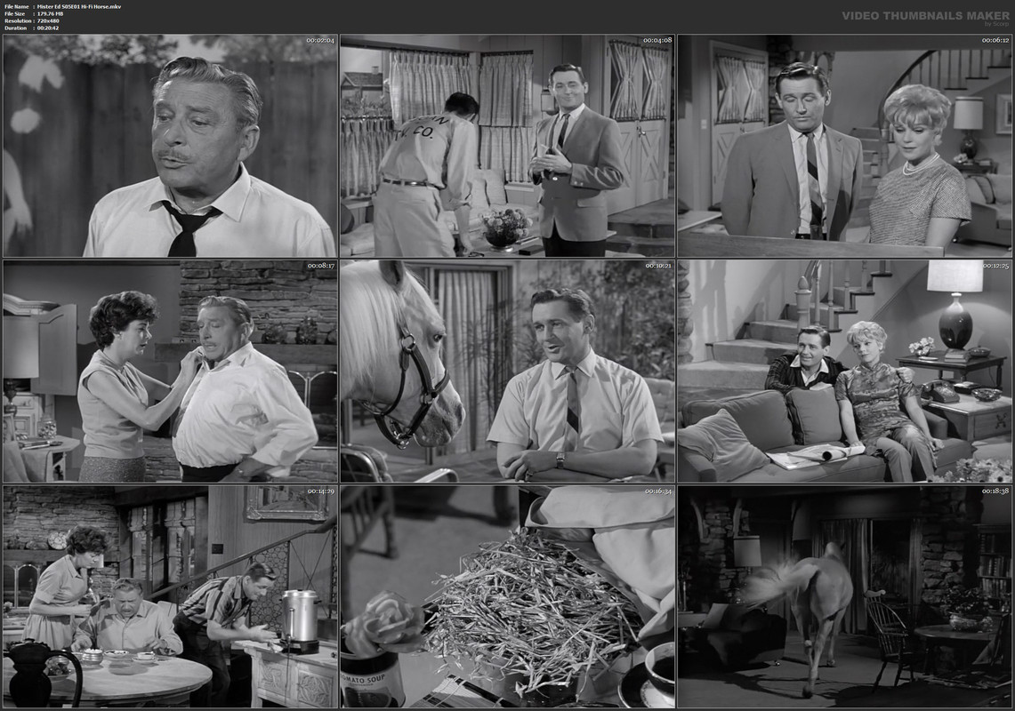 Mister Ed S05E01 Hi-Fi Horse.mkv