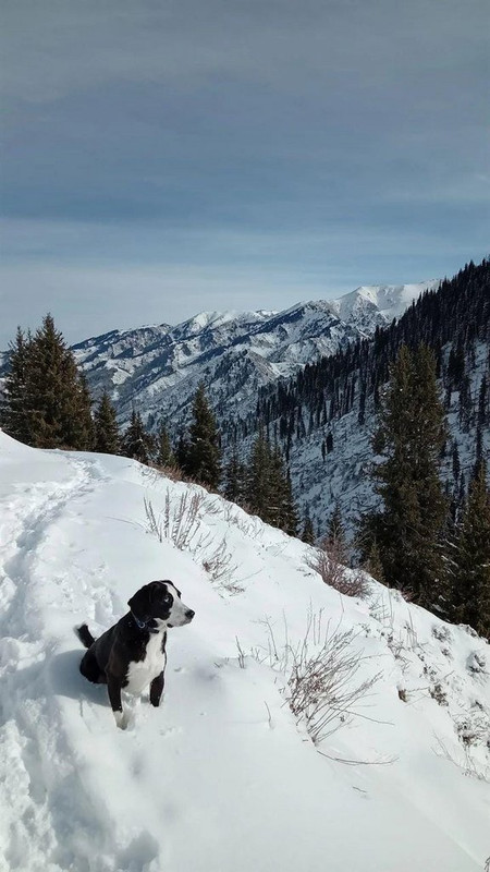 WhatsApp Image 2024-01-17 at 14.36.45 (1)