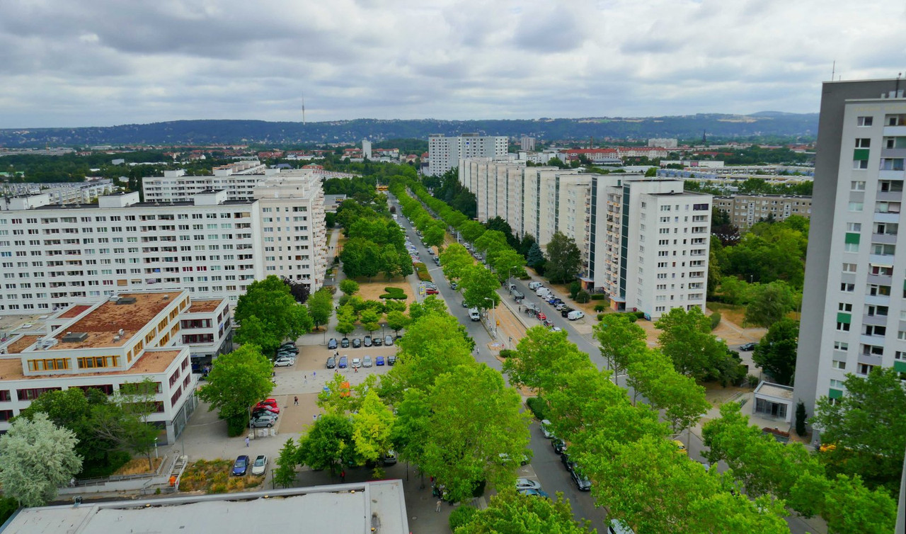 P1290536.jpg