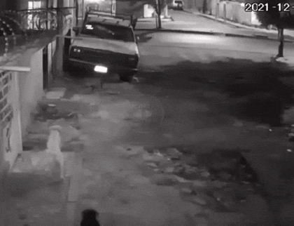 https://i.postimg.cc/FKxJTZ4Y/1.gif
