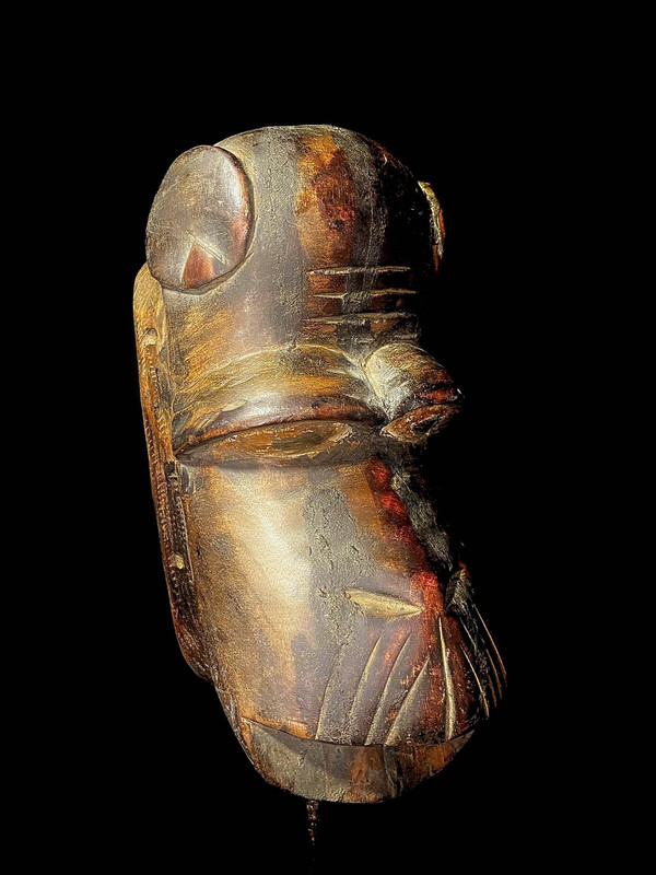 large image 4