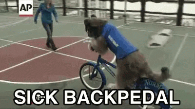 IMG-4213.gif