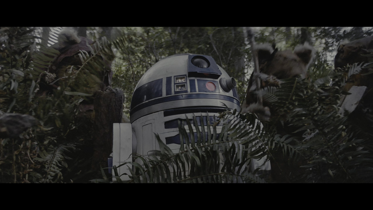 vlcsnap 2026 02 25 00h21m26s289