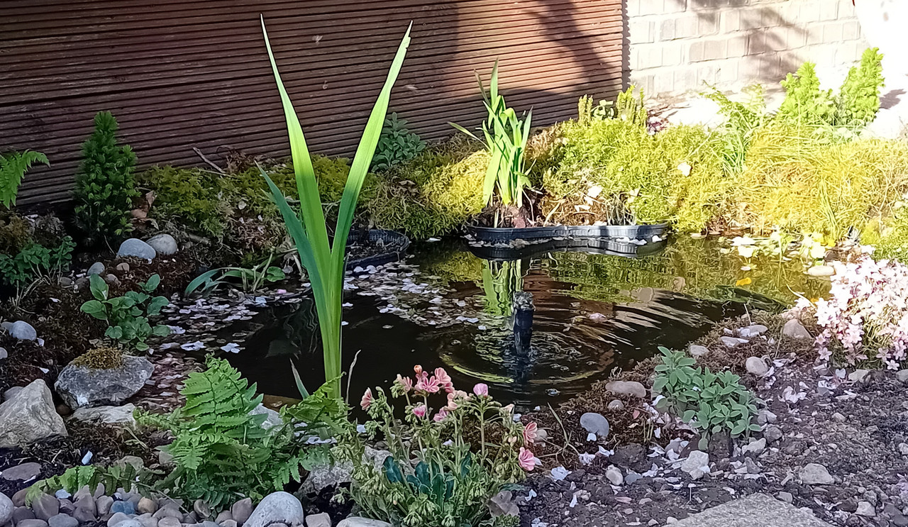 matt pond April 2024