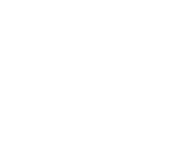nexus-mark-white