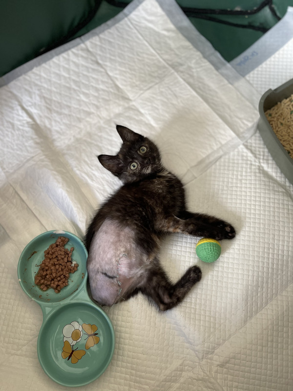 4C6EC939-BFBA-4002-95B0-E5042AB2A017