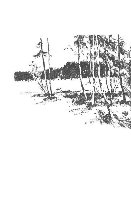 p0003