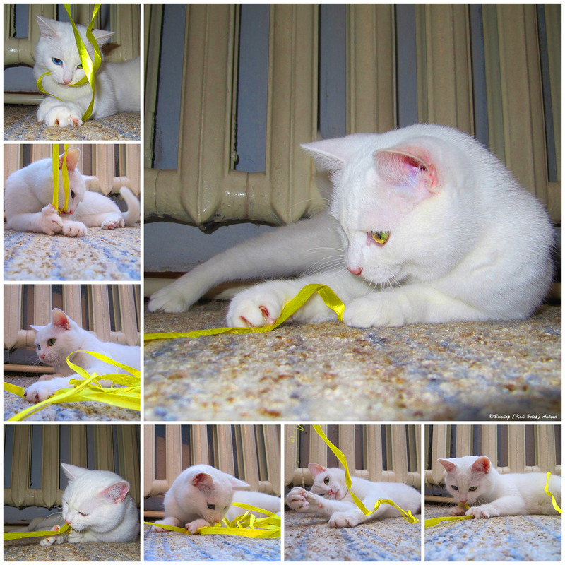 белоснежка1-6_edorig