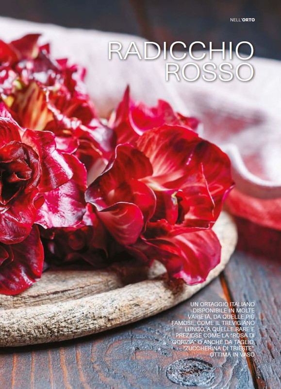 il mio Giar Feb-Mar 2025 (2)