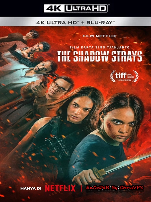 Błędny cień / The Shadow Strays (2024) MULTI.HDR.2160p.AI.WEB.DL.DDP-ChrisVPS / LEKTOR i NAPISY