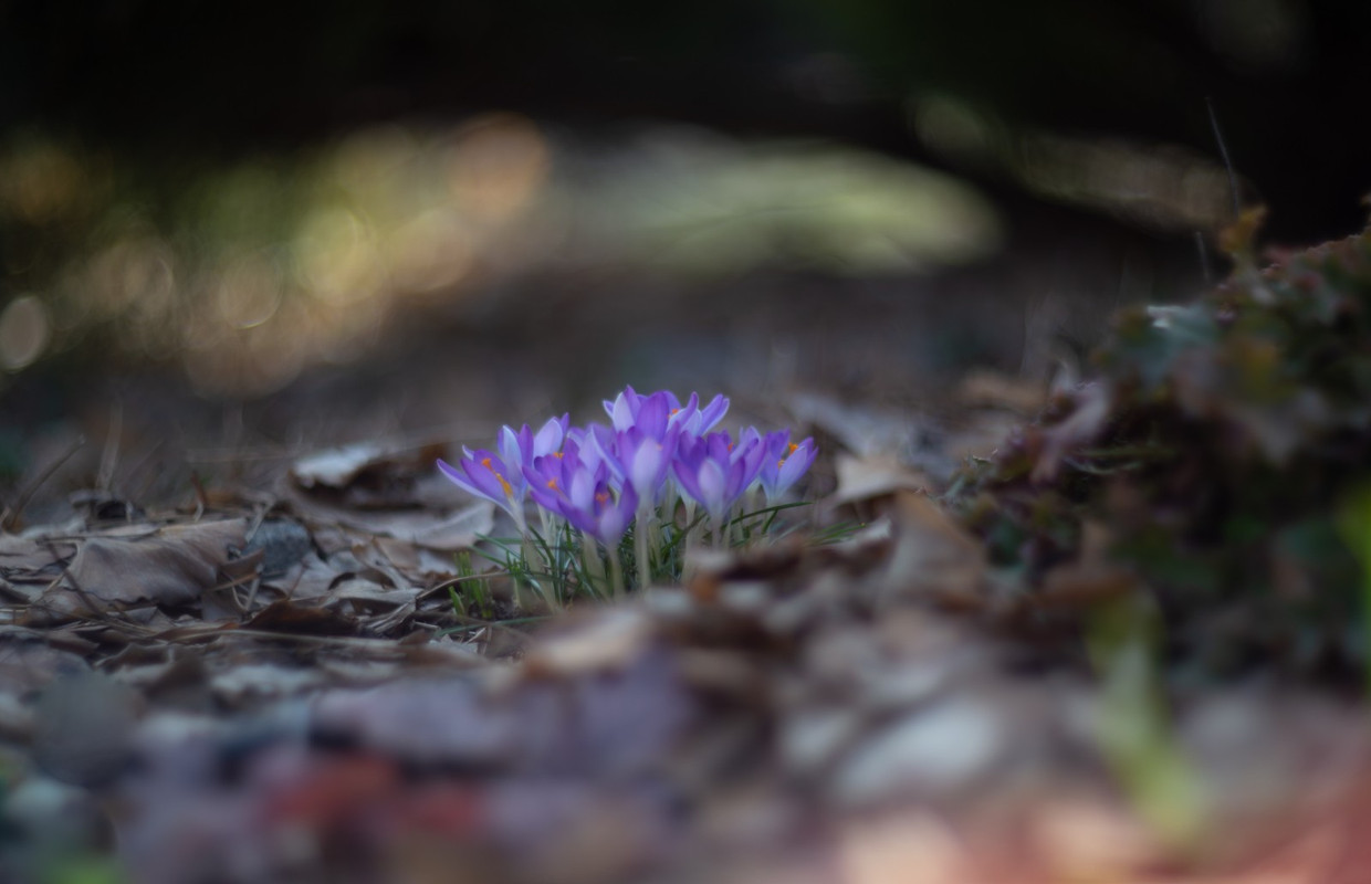 IMG-6f9ce2a052905d19c6c13462a141e655-V