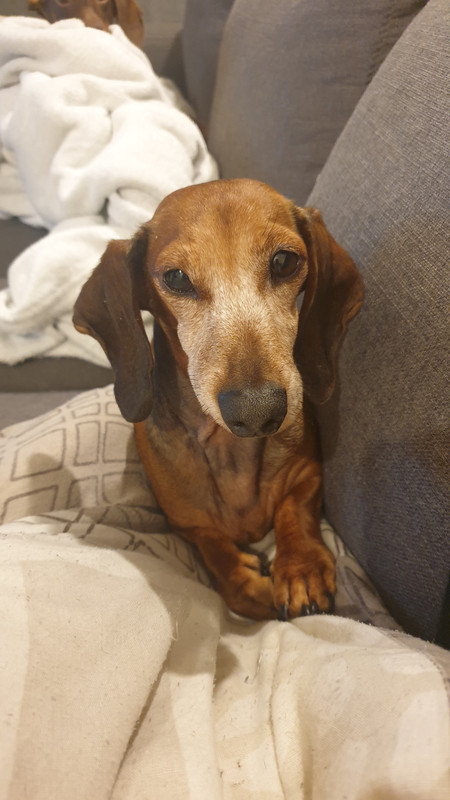 [Image: 20211105-213240.jpg]