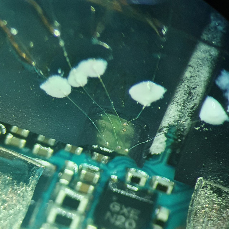 photo 2026 01 07 11 50 21