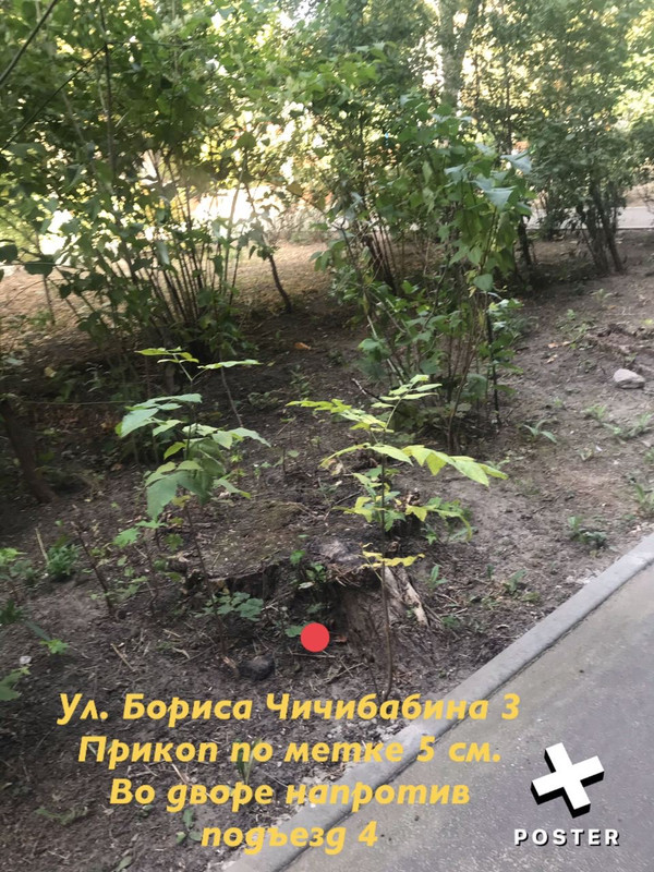 CAA68DA8-C531-48AE-AAD2-A0BD0D60E278