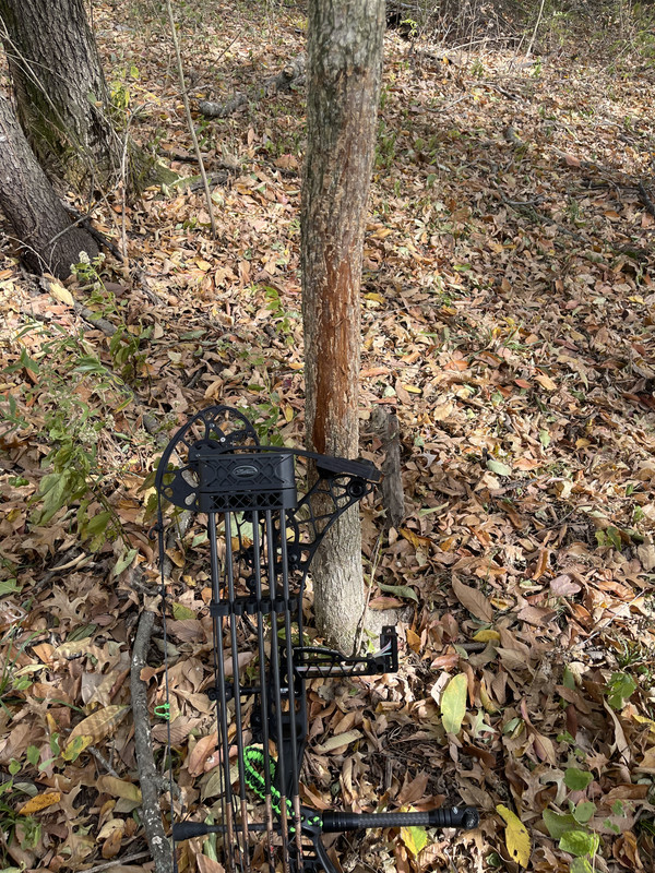 8378E403-32BB-4873-BE13-4FBA2FE231A1