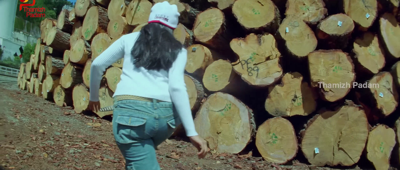 vlcsnap-2025-09-30-17h38m28s526