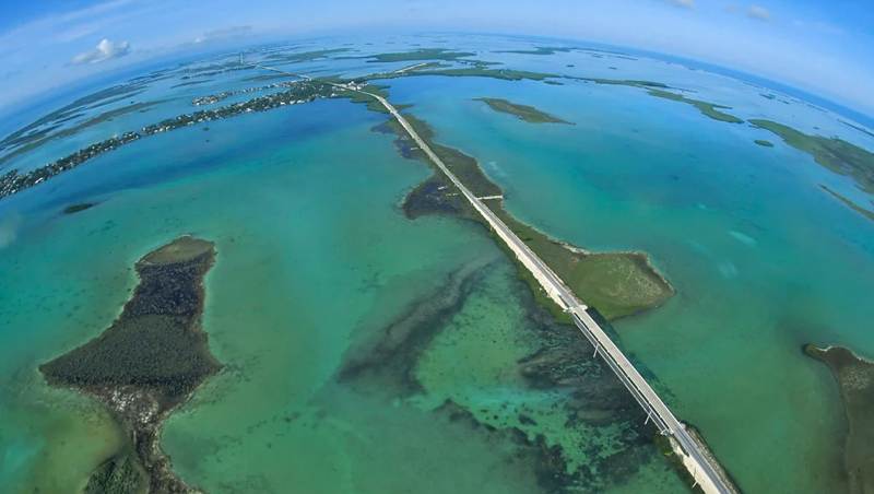 Barriere coralline Florida Keys: uragani e sbiancamento, rischi per l’ecosistema marino