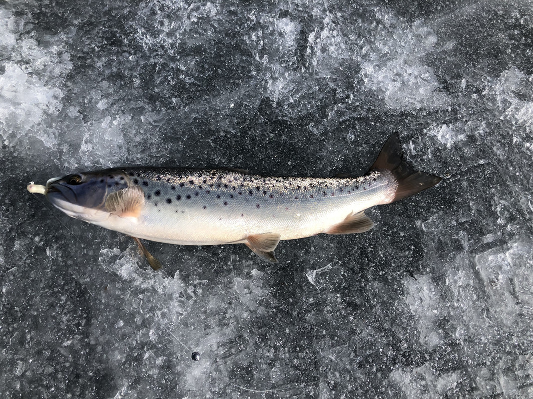 BF53872F-2A2C-486A-BC05-BBC9FDE03AA3