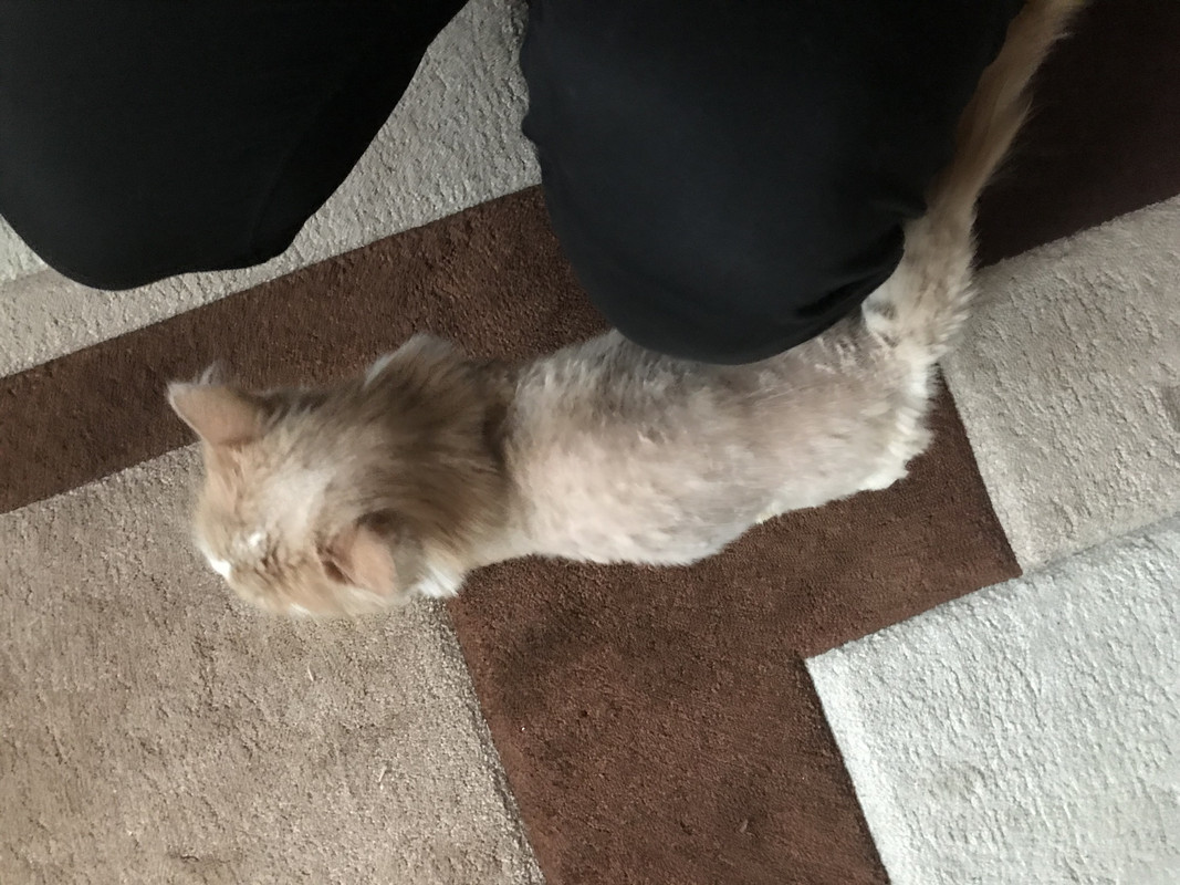 68C61BD9-0CF4-4BA6-84EC-49D37EF079E7