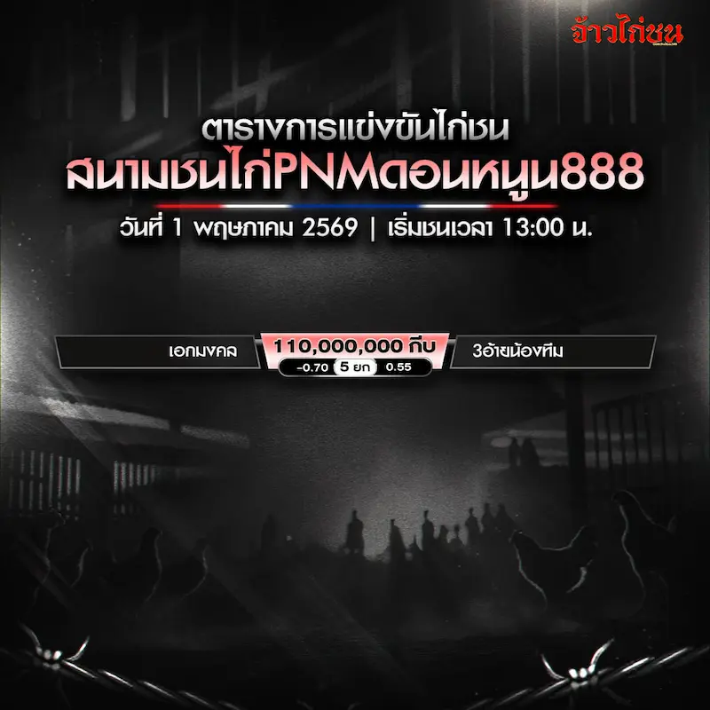 โปรแกรมไก่ชน สนามชนไก่ PNM ดอนหนูน888 วันที่ 1 พฤษภาคม 2569 ภาพโปรแกรมหลัก