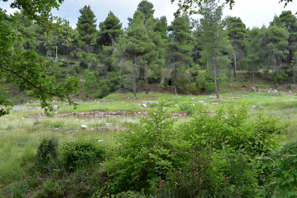 Αμφιαράειο