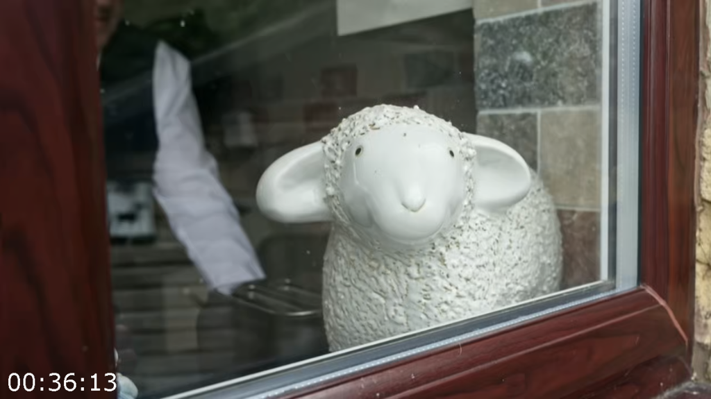 [Image: pkoly45t57by.png]