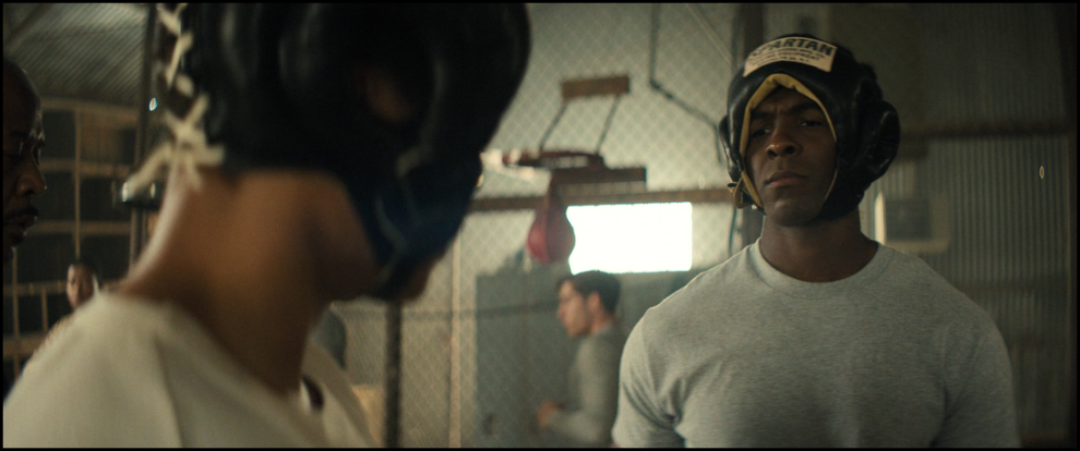 [Image: c67ury4stab6.png]