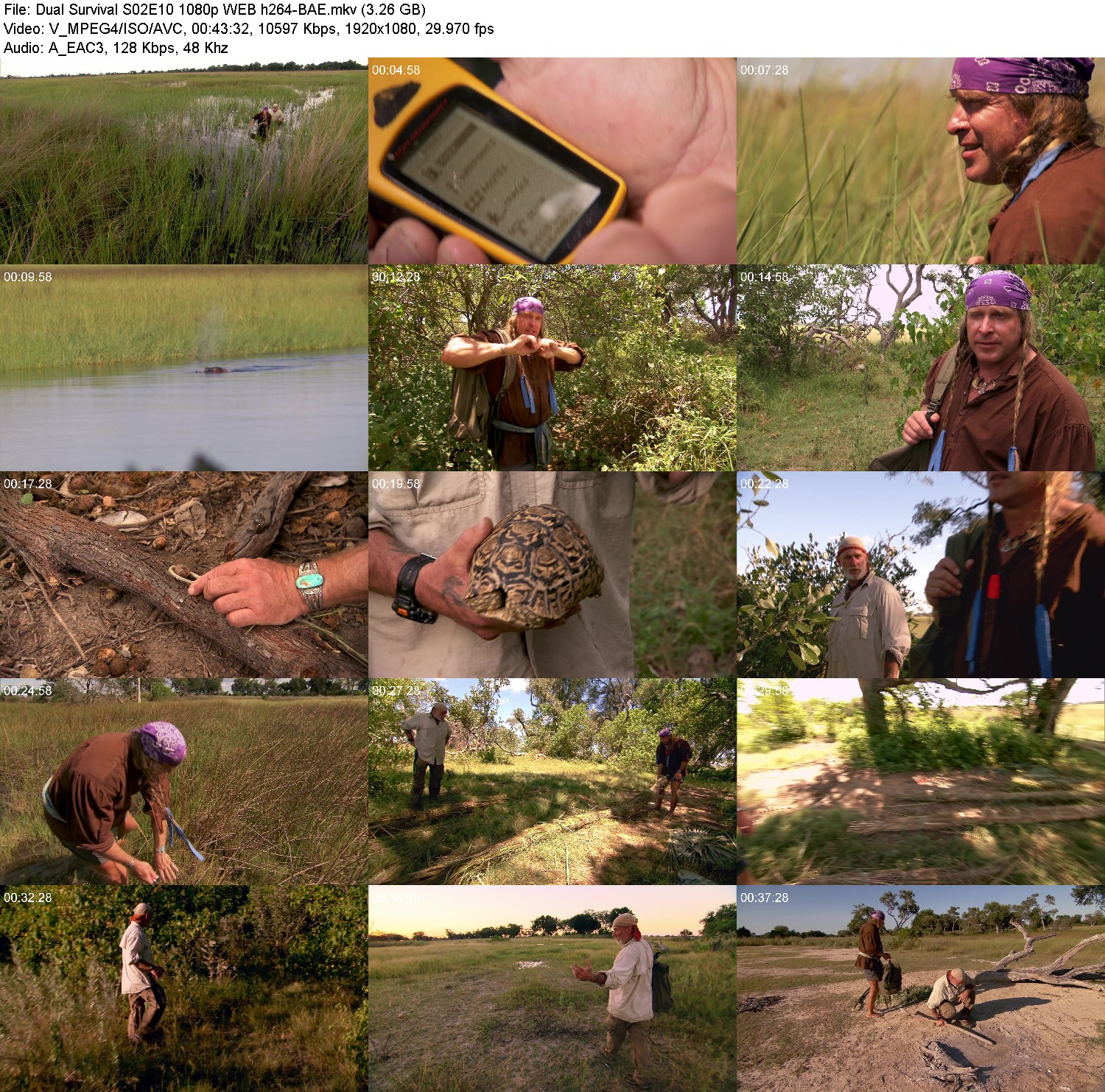 [Image: i43h8o5grctg.jpg]