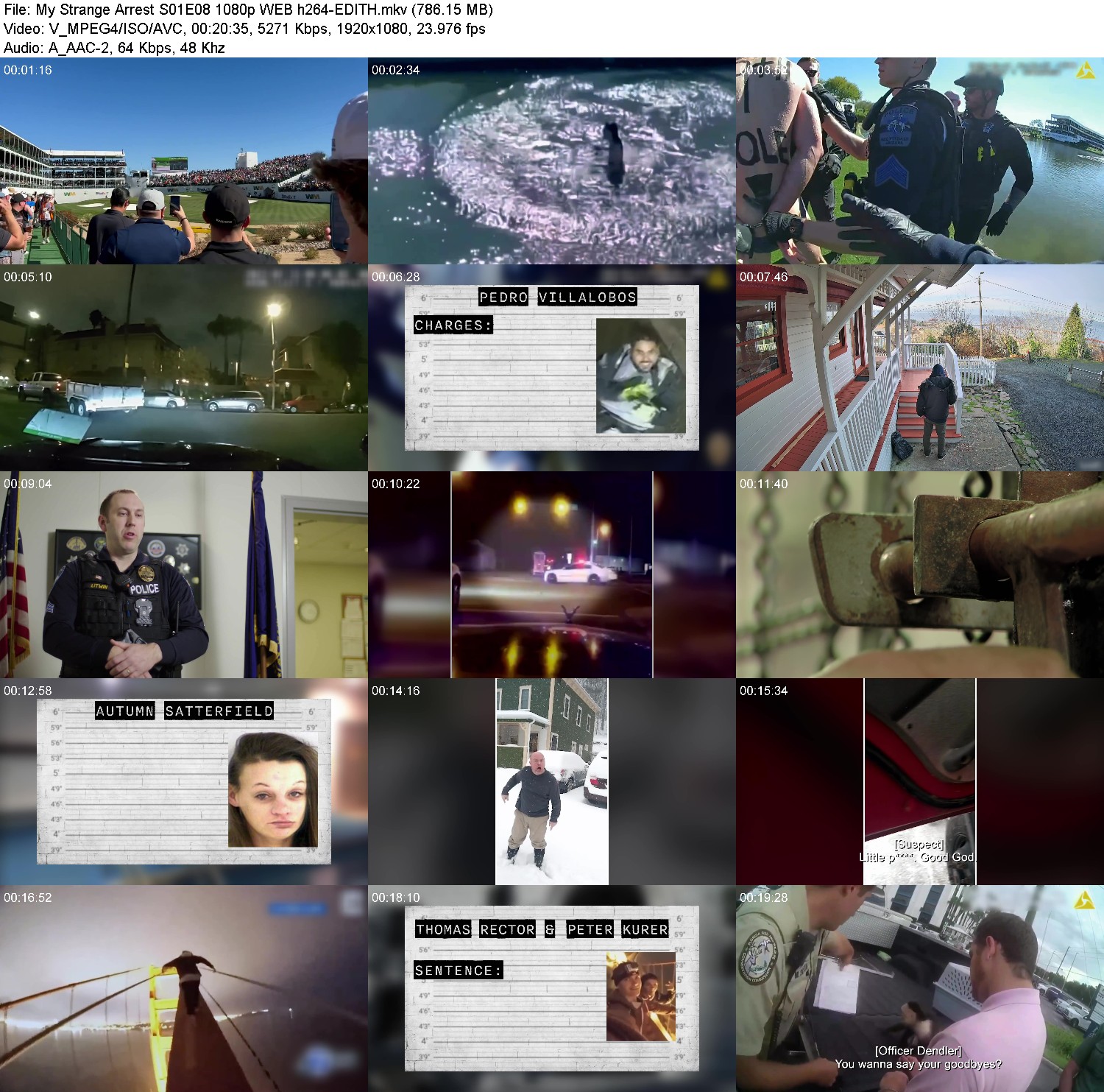 [Image: 8mv2k0cte4ch.jpg]