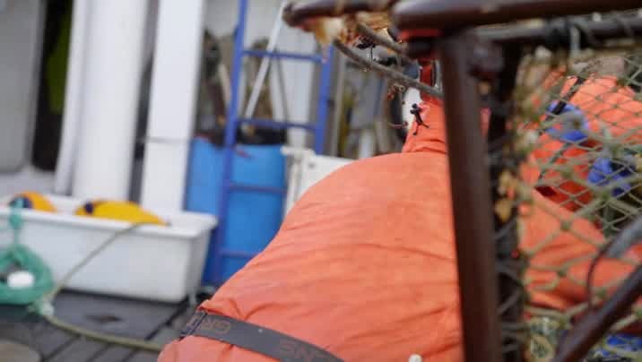 [Image: eyqf77c58bpc.jpg]