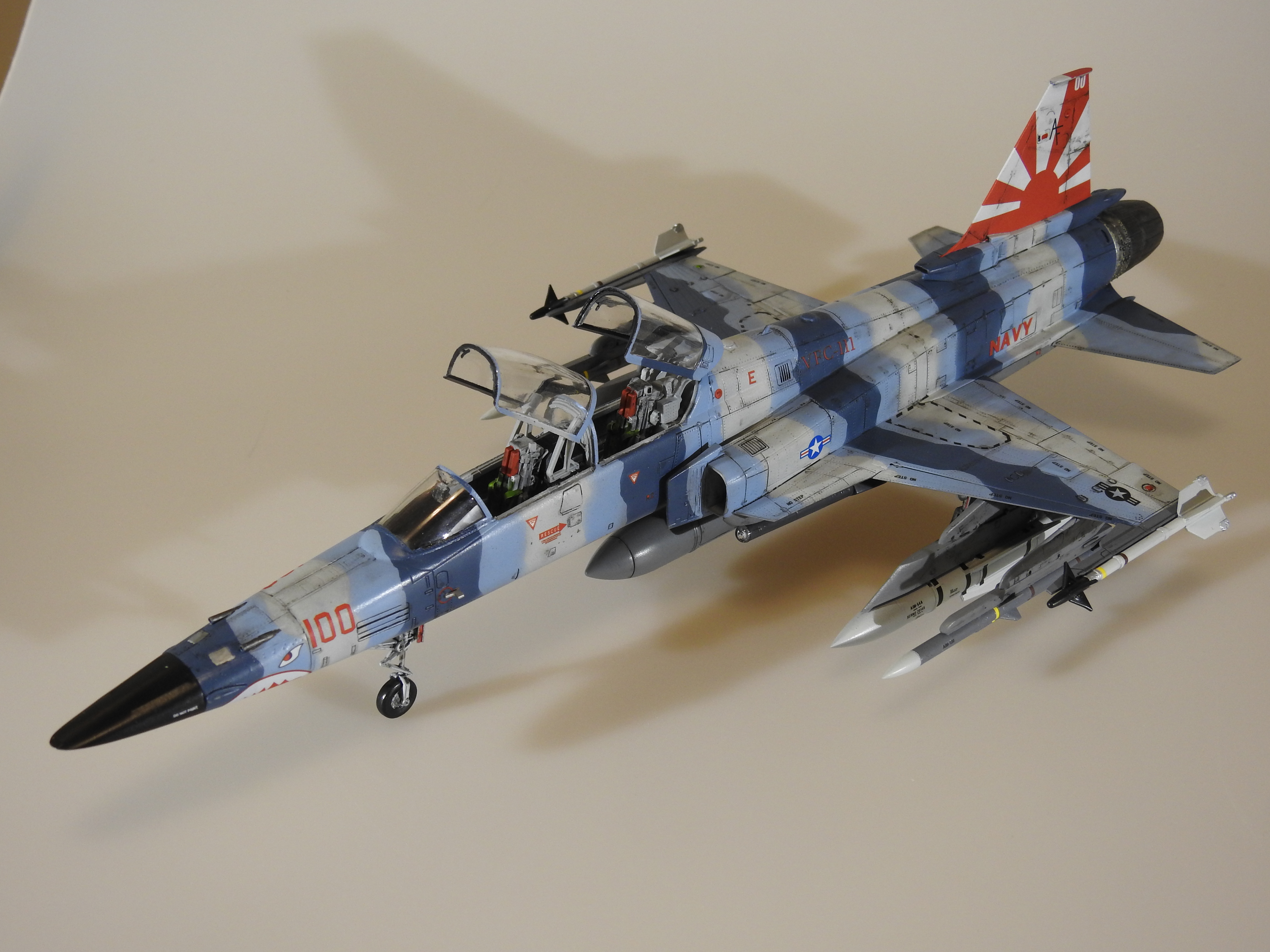 F-20, Freedom, 1/48 - Klar DSCN9182