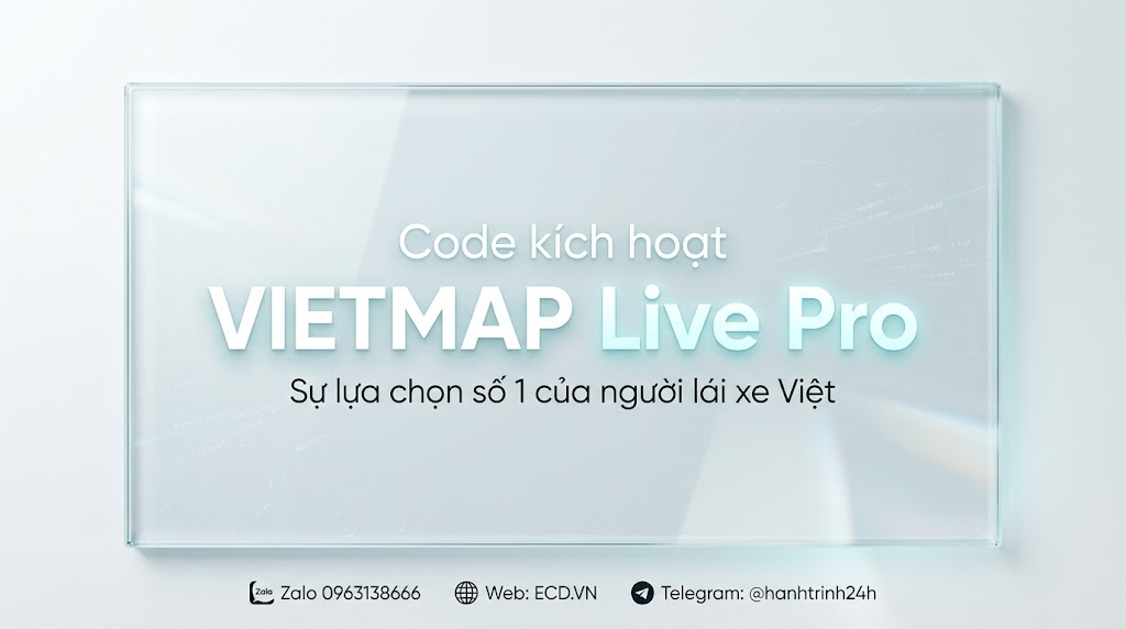 vietmap pro master driver