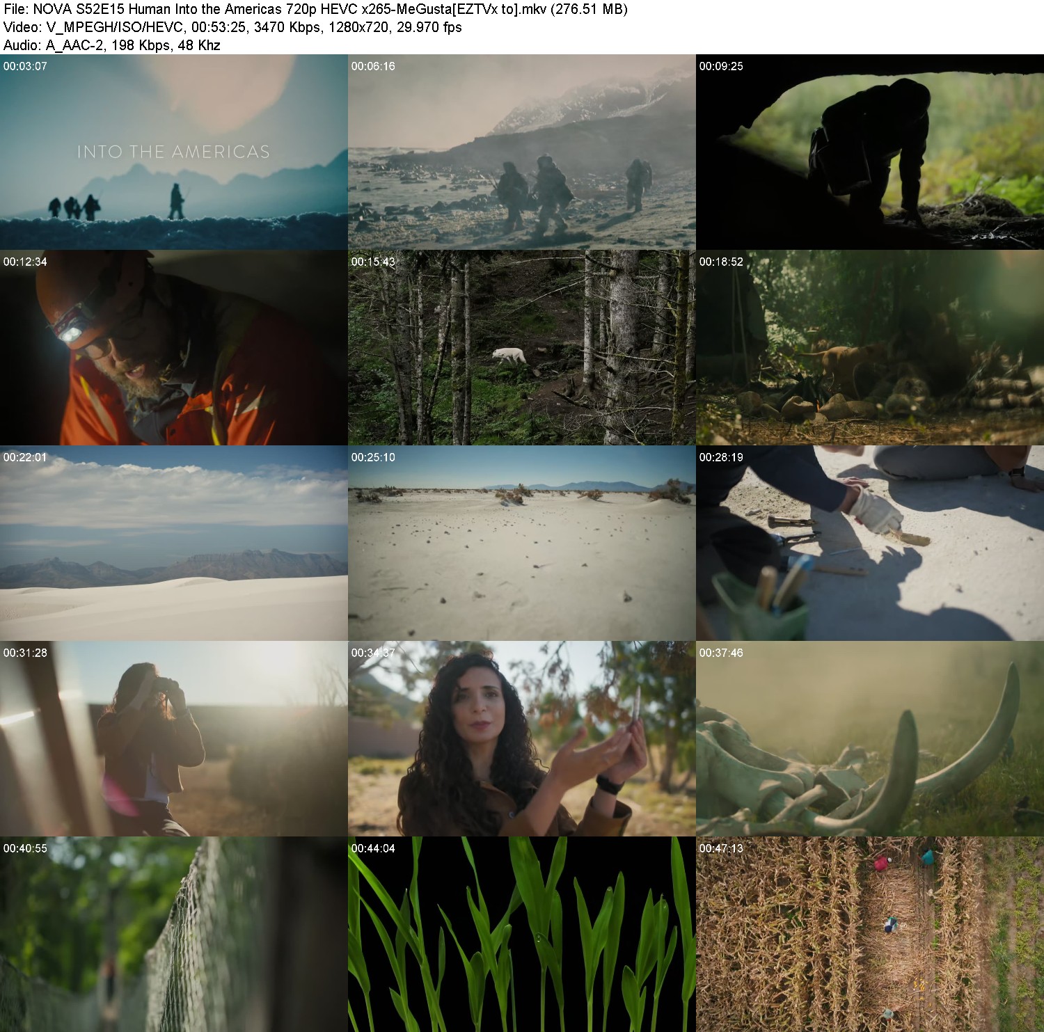 [Image: 5ol190jvvybn.jpg]