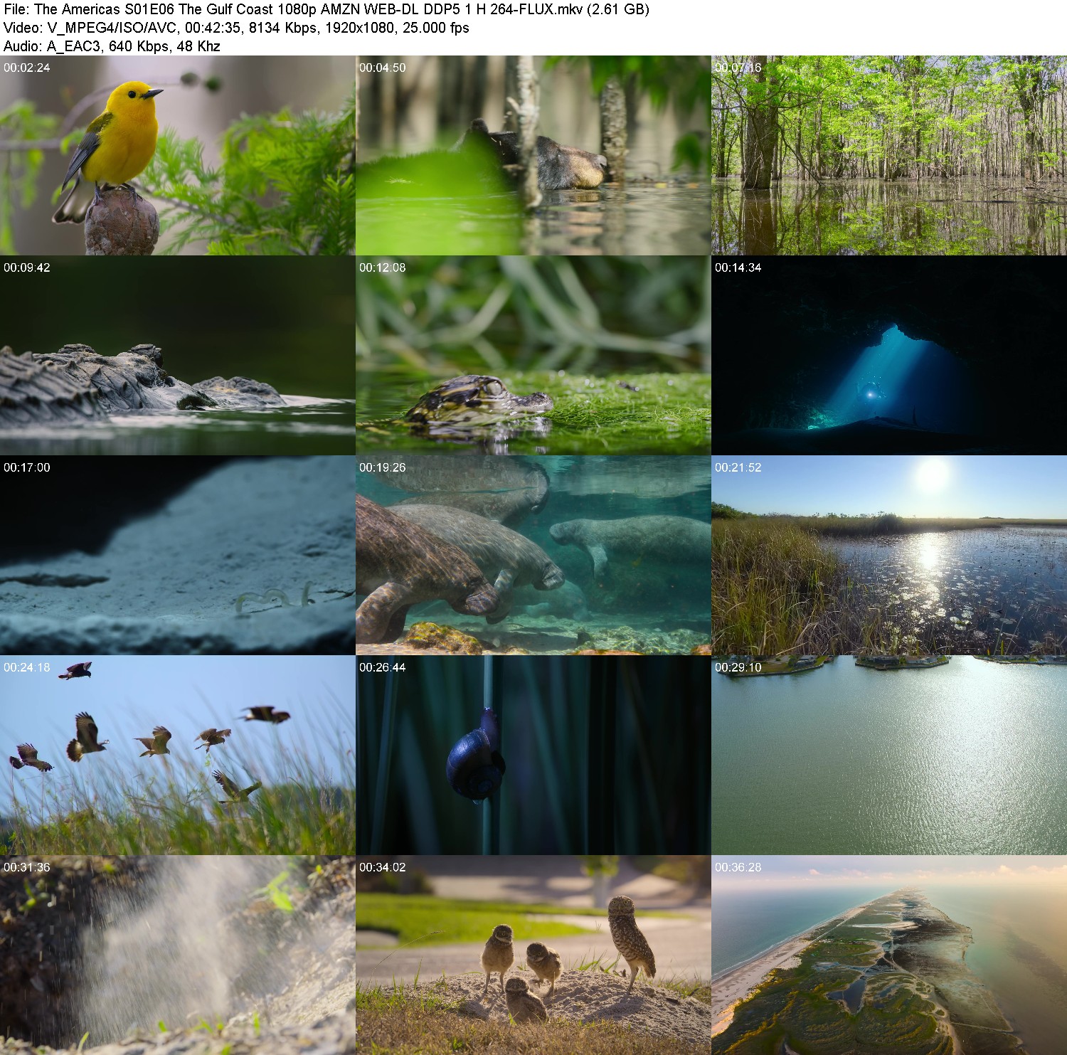 [Image: 12qv1nshwm6a.jpg]