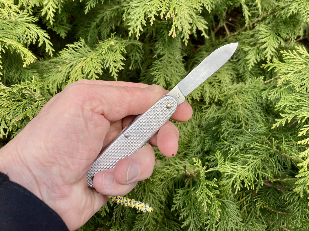 6A1C3311-467F-4449-B837-5A8B5FEB5DBF