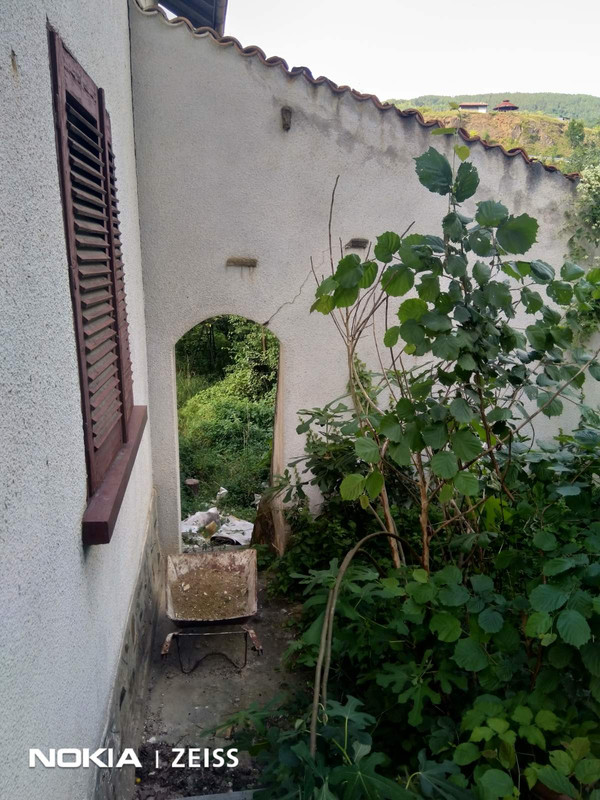 IMG-4db33e4d00111eec6db9968ca5d8218a-V