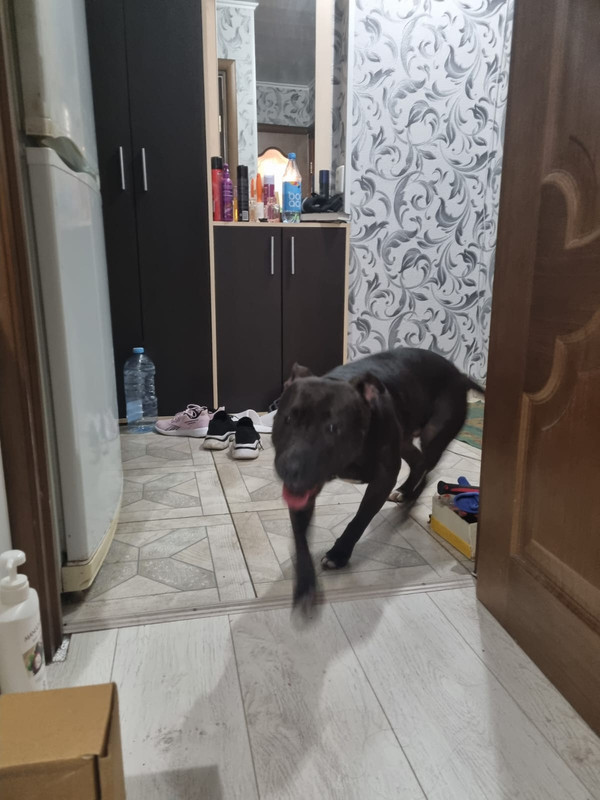 9B92A038-0A2C-44A6-8E21-440A89A0545F