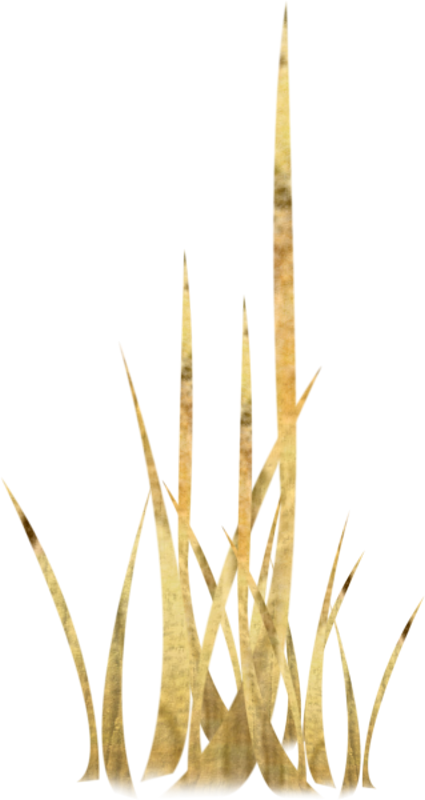 IPD_AH_Element (122)