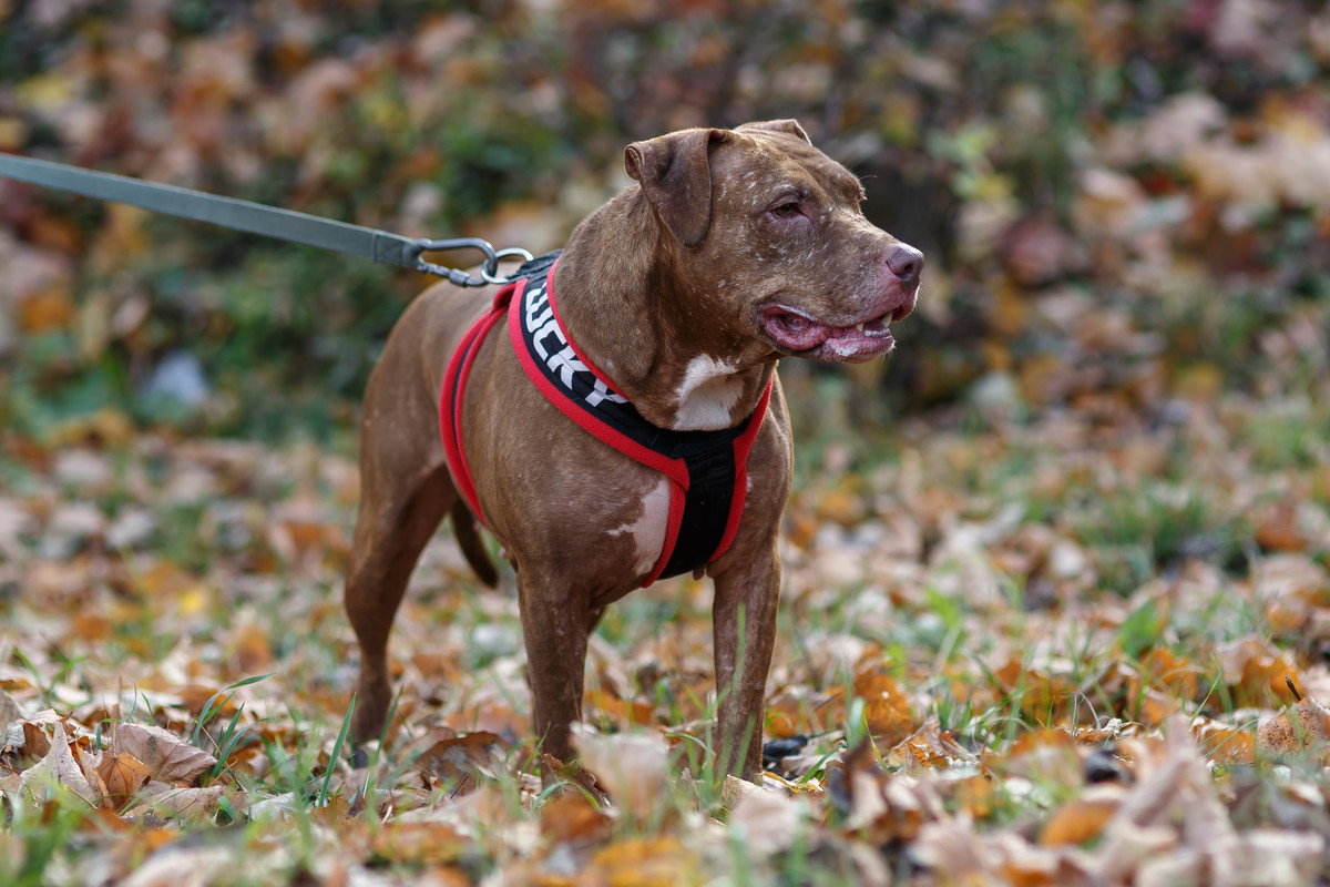 911D9FA7-EDFA-48D5-869D-20143036C8F4