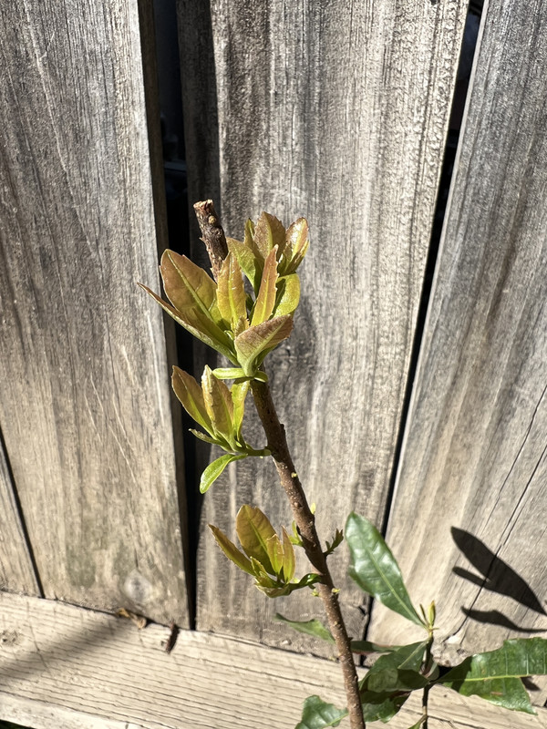 BEE9FC79-A735-4064-AAE6-891B6141AEEB